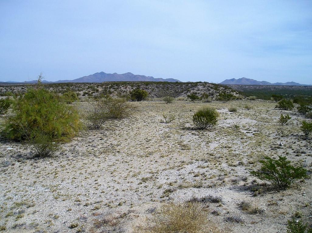 00 N Alvie Lee, Benson, AZ 85602