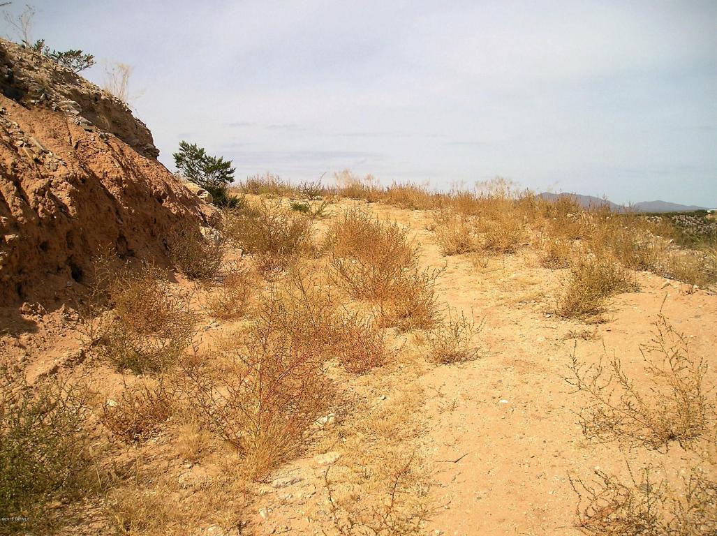00 N Alvie Lee, Benson, AZ 85602