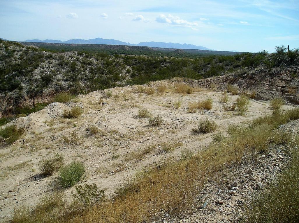 00 N Alvie Lee, Benson, AZ 85602