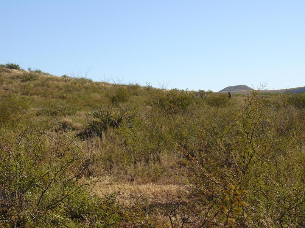 Lot 15 Mountain Shadows, Douglas, AZ 85607