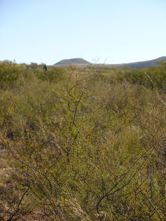 Lot 15 Mountain Shadows, Douglas, AZ 85607