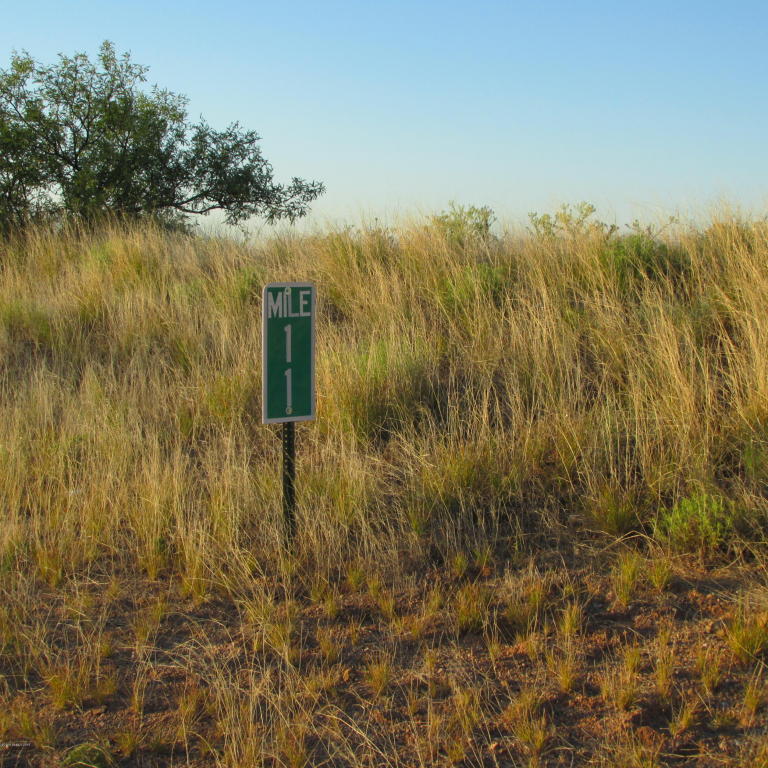 Lot 6 W Gleeson Road, Elfrida, AZ 85610