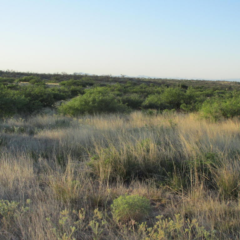 Lot 6 W Gleeson Road, Elfrida, AZ 85610