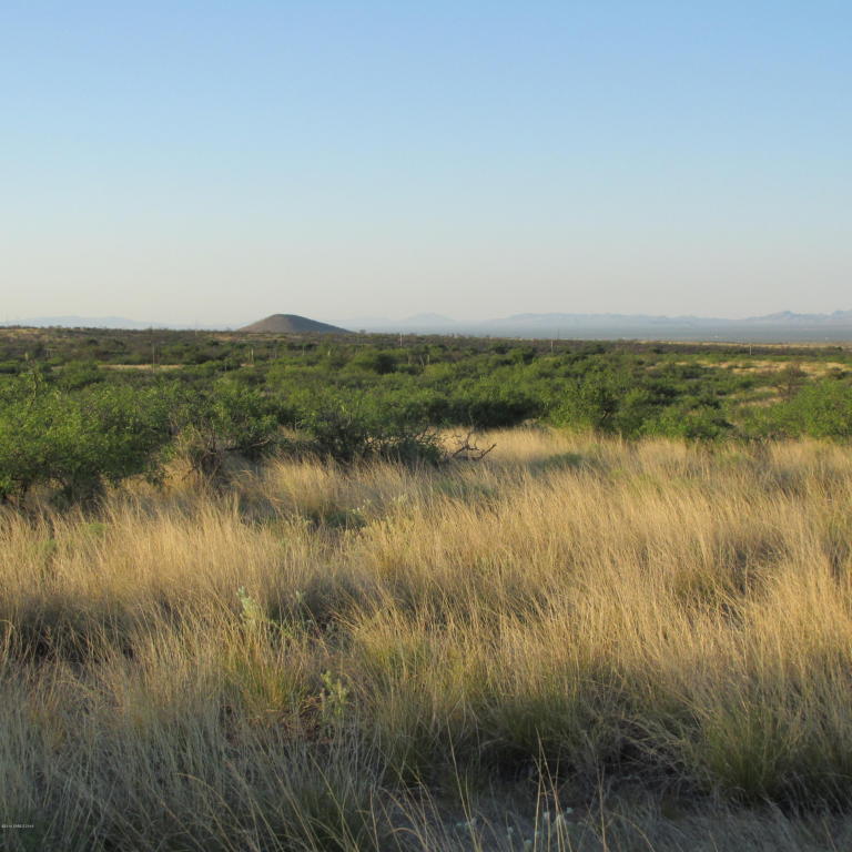 Lot 6 W Gleeson Road, Elfrida, AZ 85610