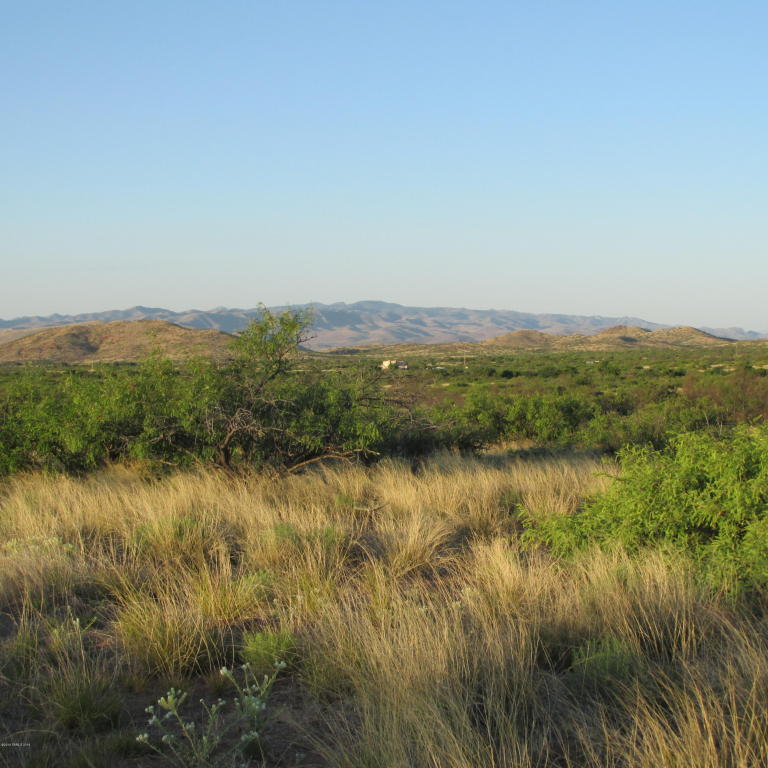 Lot 6 W Gleeson Road, Elfrida, AZ 85610