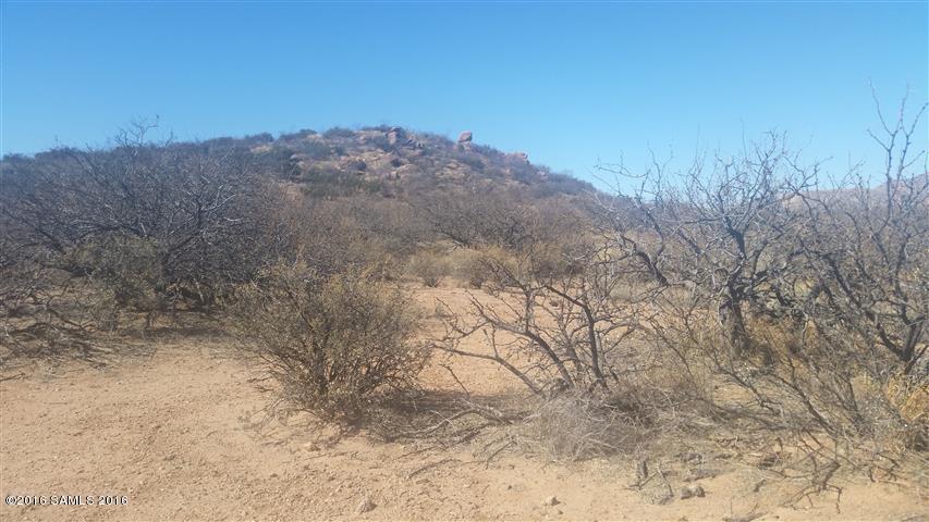 10445 N Saddlebag Trail, Elfrida, AZ 85610
