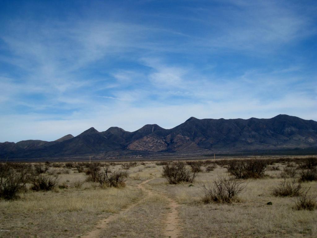0000 N White Fawn, Elfrida, AZ 85610