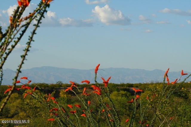 842 S Preservation Place, Green Valley, AZ 85614