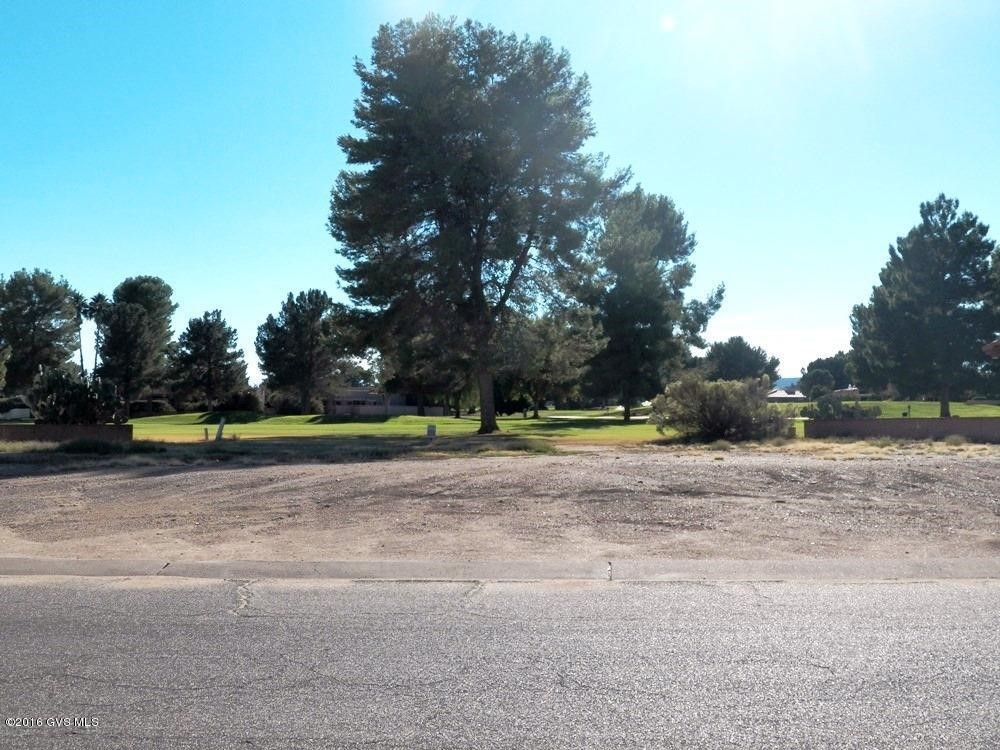 1261 N Paseo De Golf, Green Valley, AZ 85614