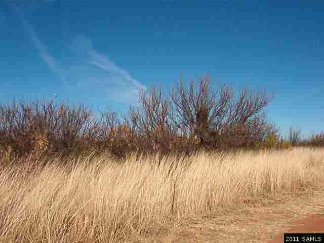 Lot A Keystone Road, Hereford, AZ 85615
