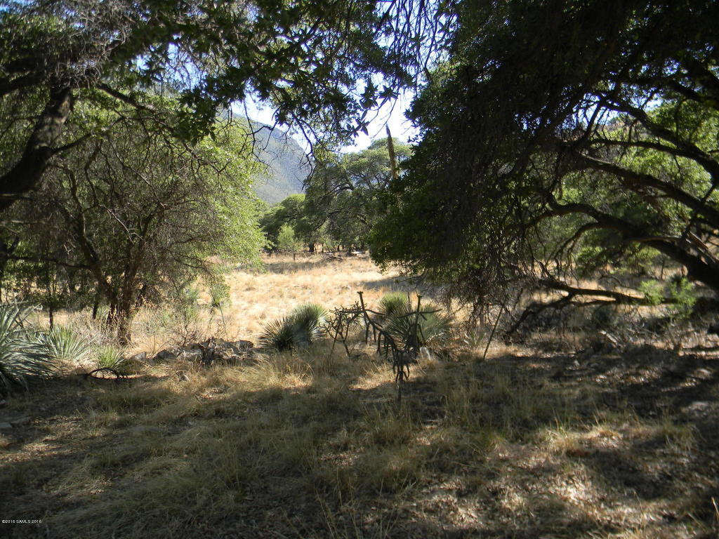 211 E Ramsey Canyon Road, Hereford, AZ 85615