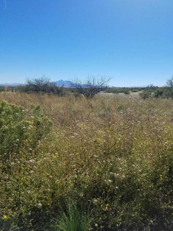 Tbd S SUNNYVALE Road, Hereford, AZ 85615