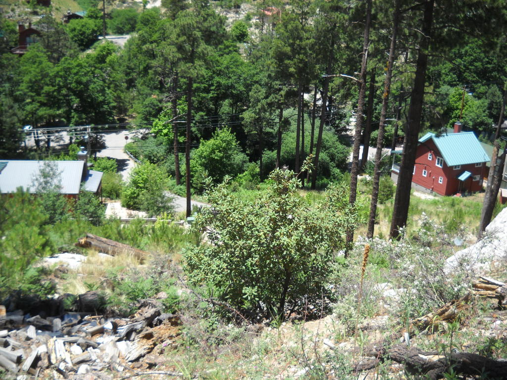 12801 N Tucson Av, Mt. Lemmon, AZ 85619