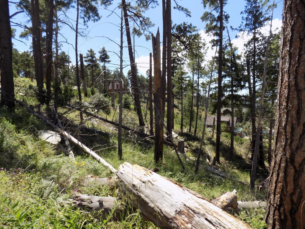 Loma Linda Extension Lot 3, Mt. Lemmon, AZ 85619