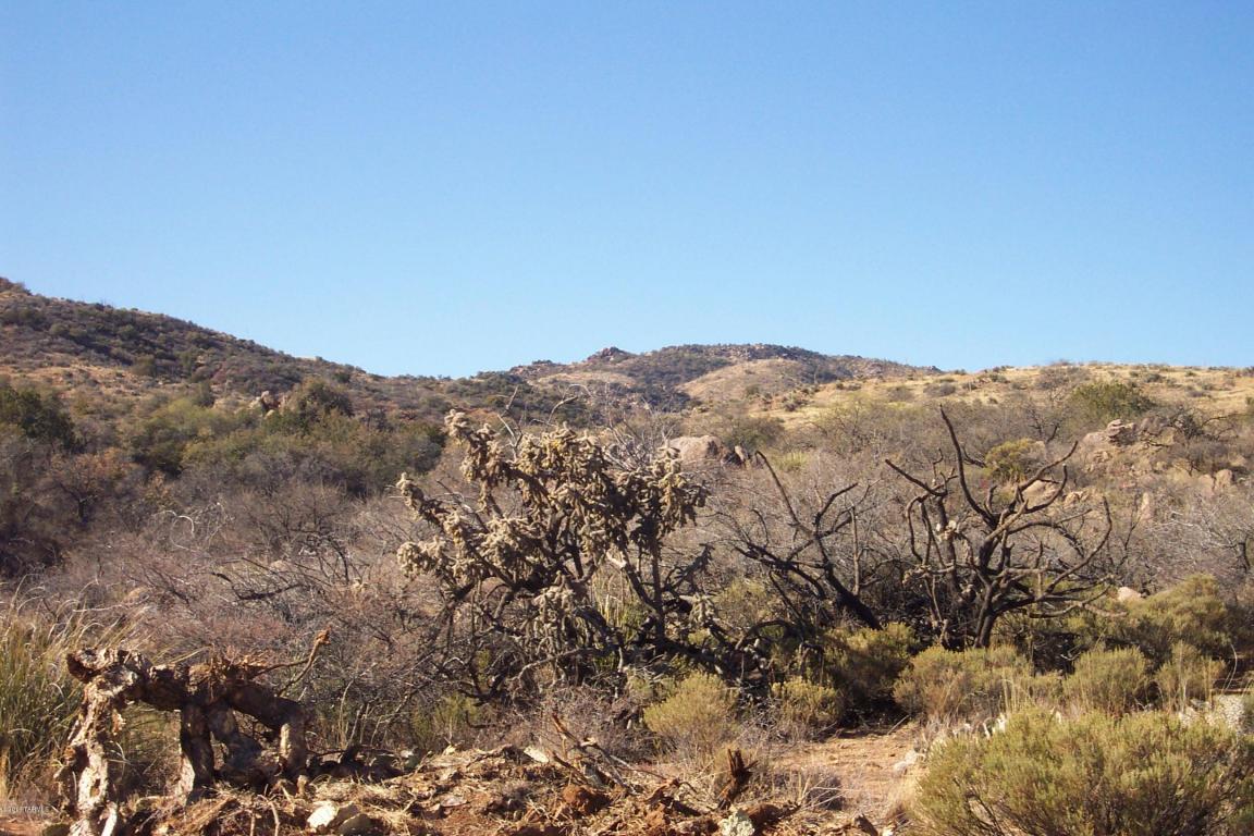 0 Mt Lemmon, Oracle, AZ 85623