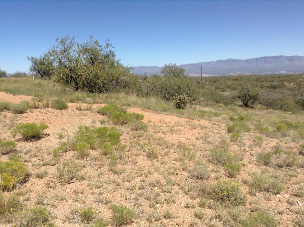 S Apache Girl, Oracle, AZ 85623