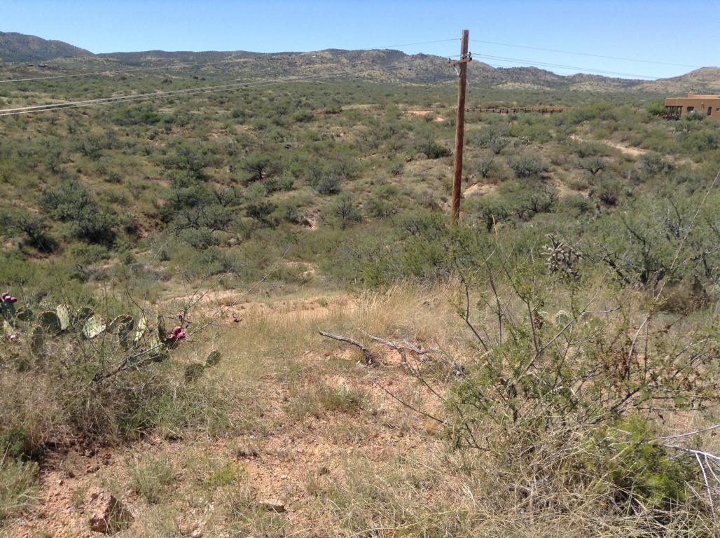 S Apache Girl, Oracle, AZ 85623