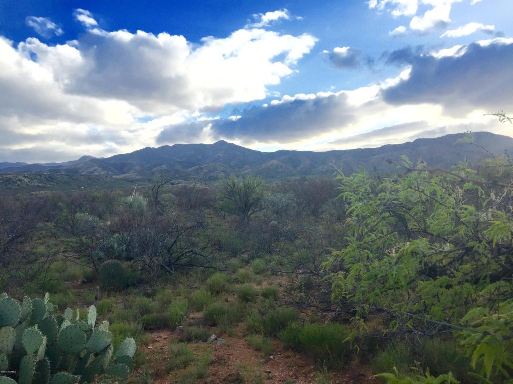 12 Acres off of Goldbug, Oracle, AZ 85623