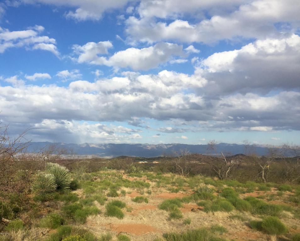 12 Acres off of Goldbug, Oracle, AZ 85623