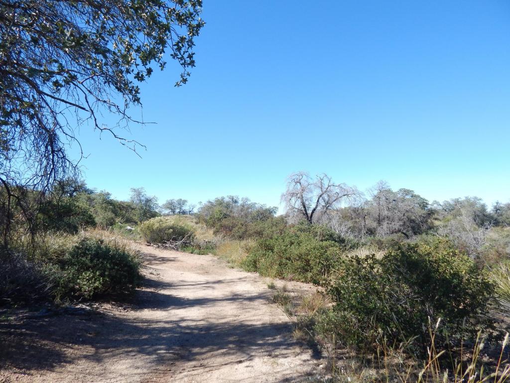 TBD W Oak Hills, Oracle, AZ 85623