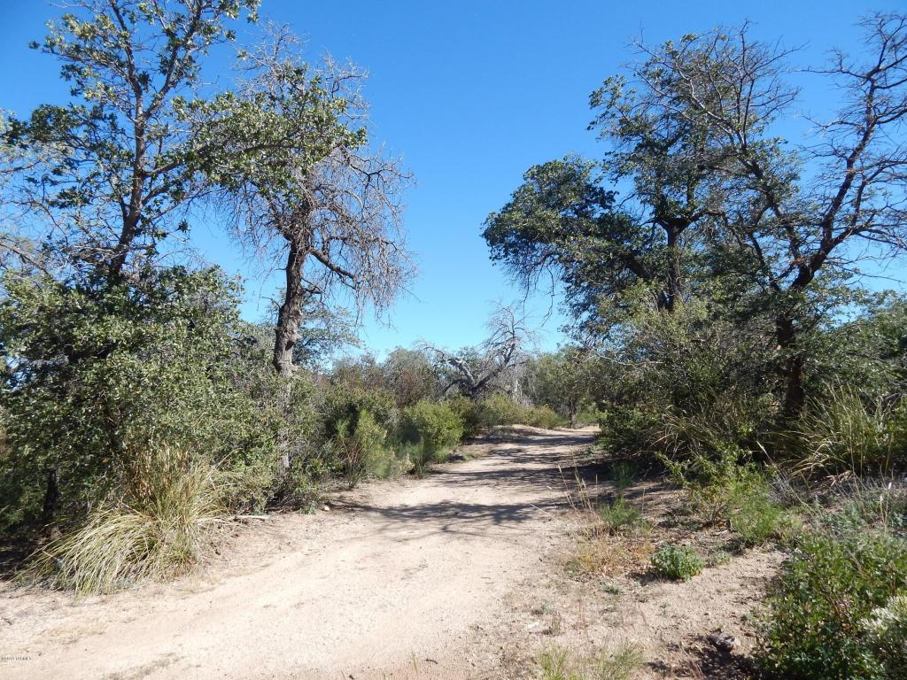 TBD W Oak Hills, Oracle, AZ 85623
