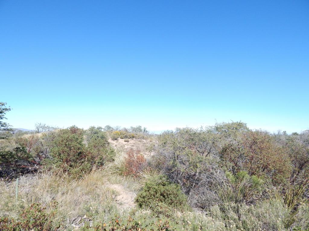 TBD W Oak Hills, Oracle, AZ 85623