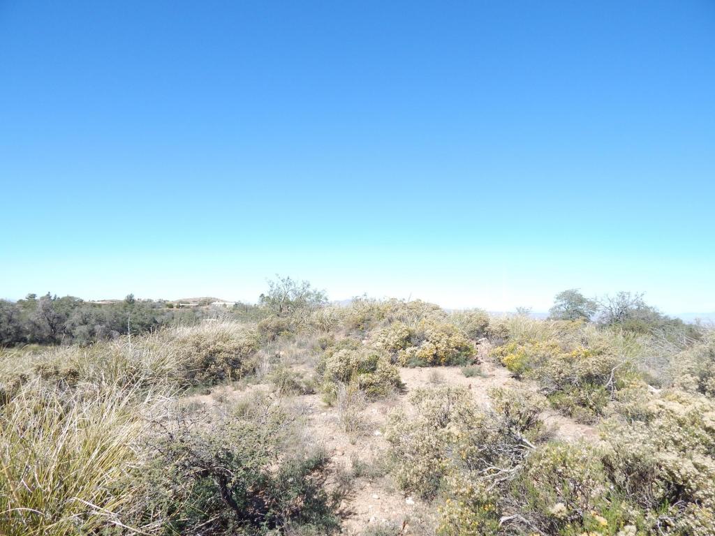 TBD W Oak Hills, Oracle, AZ 85623