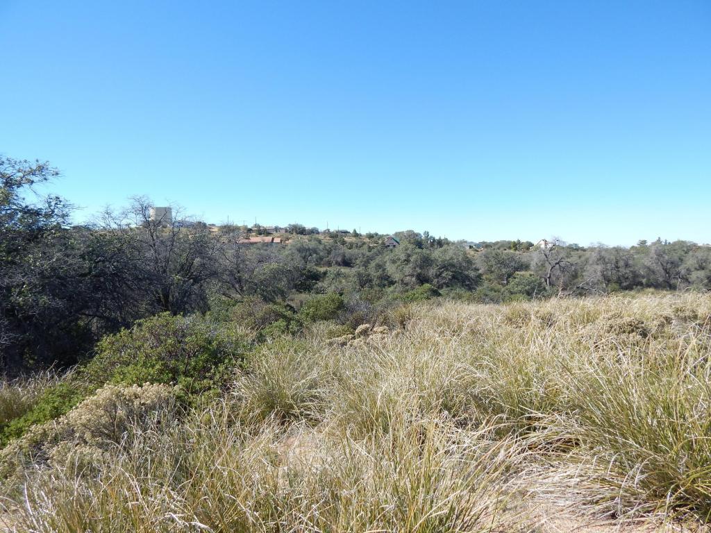 TBD W Oak Hills, Oracle, AZ 85623