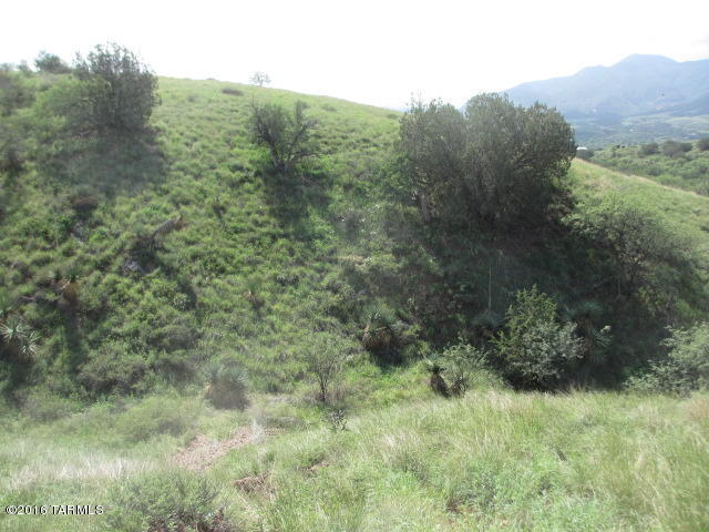 0 Off Temporal Canyon Road, Patagonia, AZ 85624