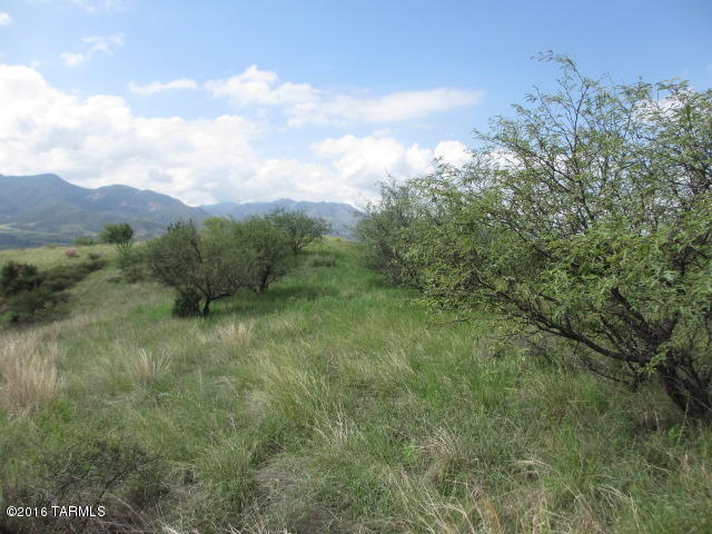 0 Off Temporal Canyon Road, Patagonia, AZ 85624