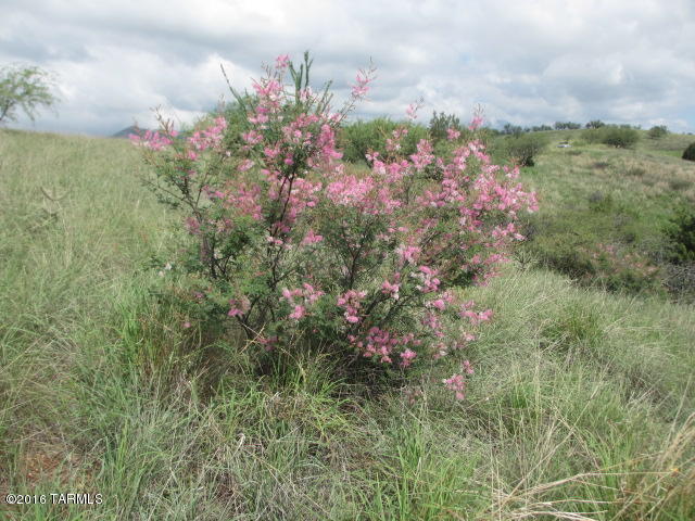 0 Off Temporal Canyon Road, Patagonia, AZ 85624