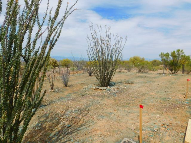 6730 W Maverick RdSahuarita, AZ, 85629Pima County