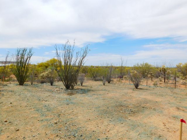 6730 W Maverick RdSahuarita, AZ, 85629Pima County