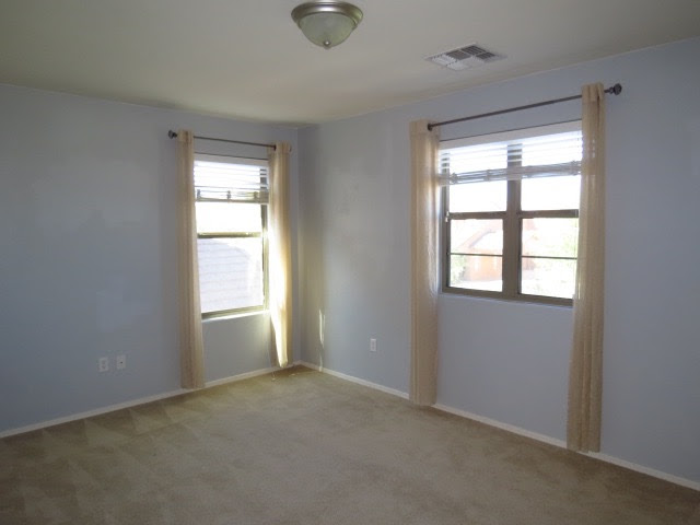 213 W. Calle CajetaSahuarita, AZ, 85629Pima County