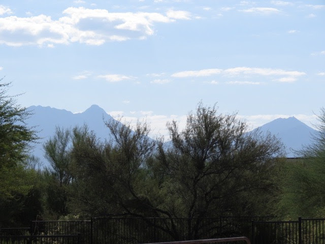 1134 W Vuelta Las VerdolagasSahuarita, AZ, 85629Pima County