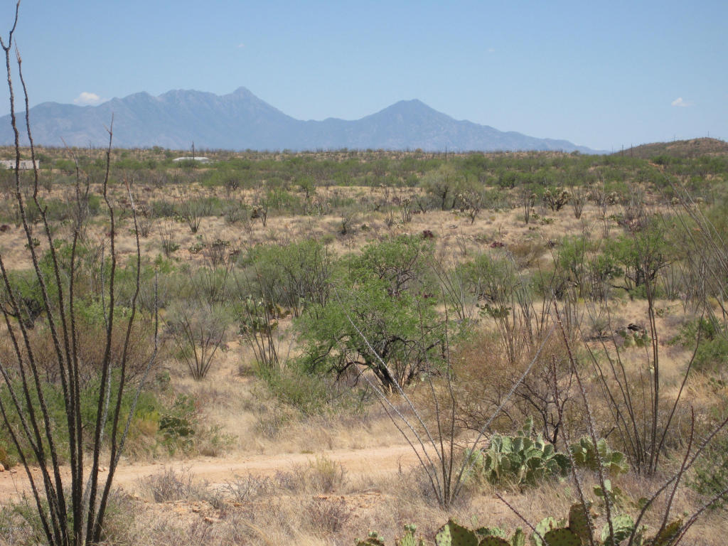 7255 W Bucking Horse W, Sahuarita, AZ 85629