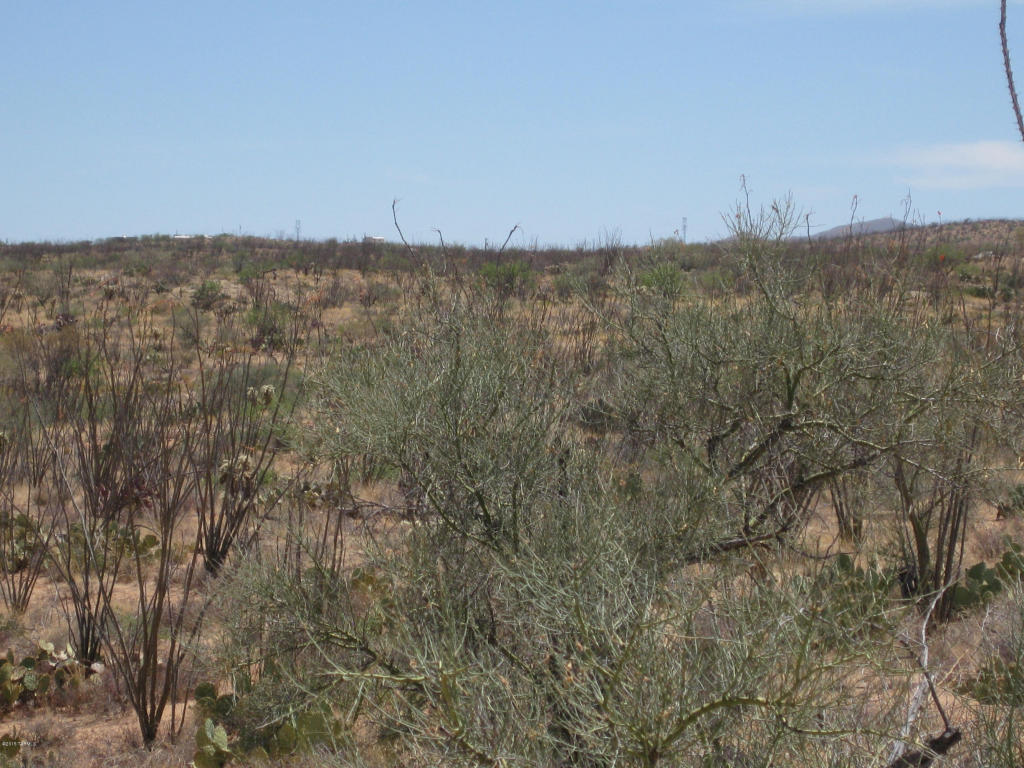 7255 W Bucking Horse W, Sahuarita, AZ 85629
