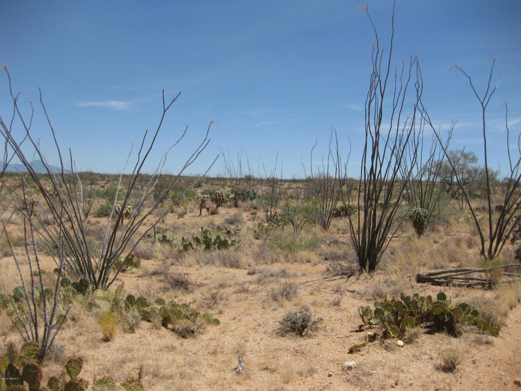 7255 W Bucking Horse W, Sahuarita, AZ 85629