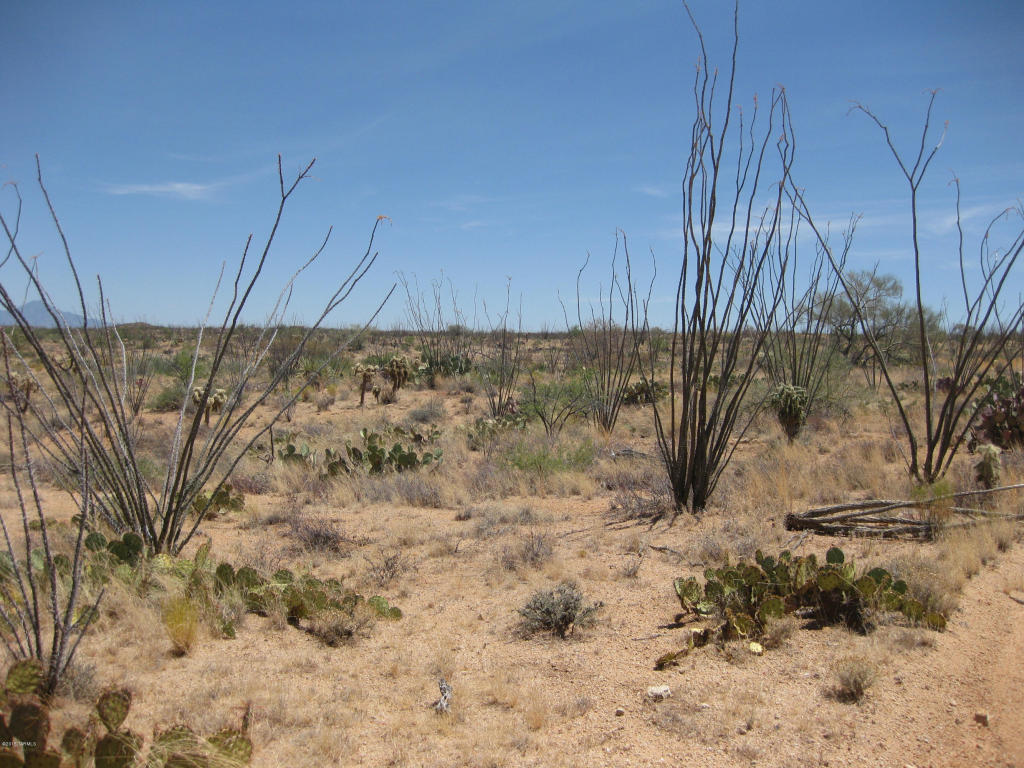 7255 W Bucking Horse W, Sahuarita, AZ 85629