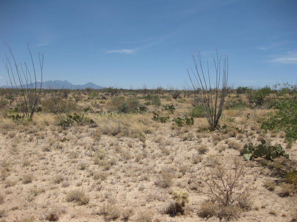 7255 W Bucking Horse W, Sahuarita, AZ 85629