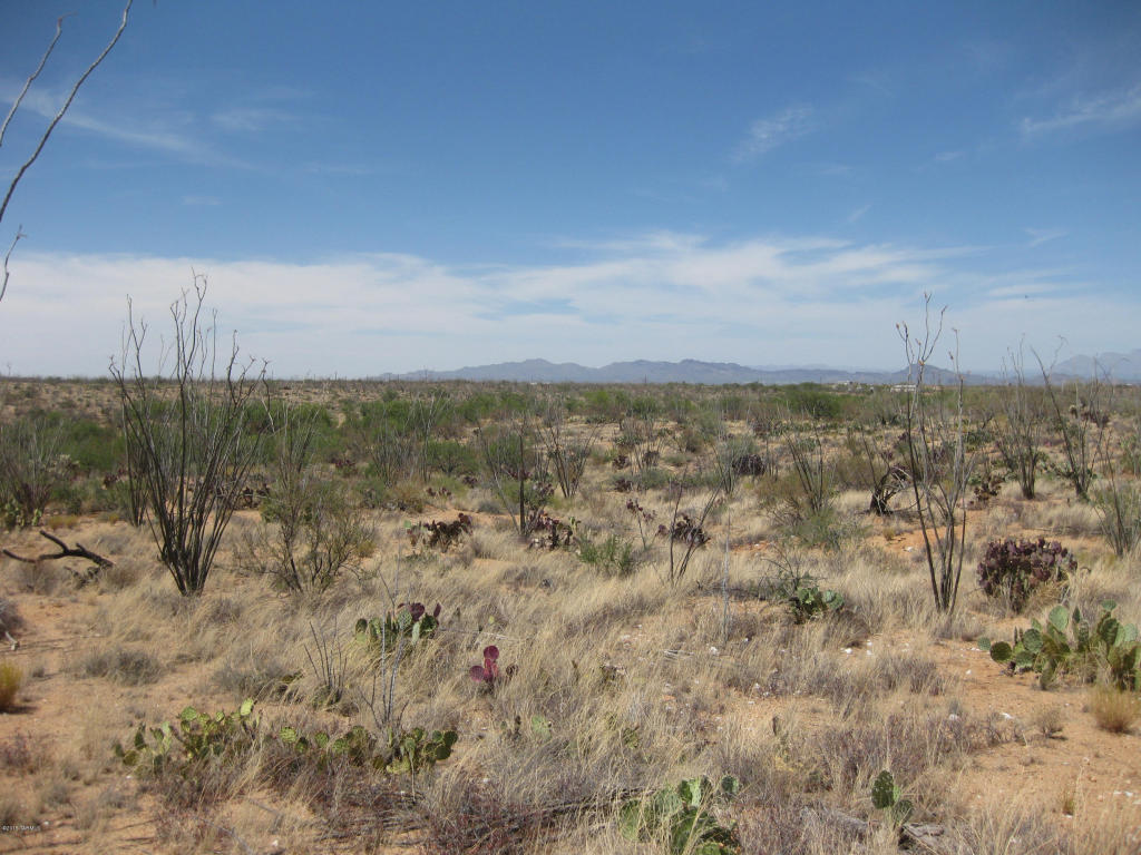 7255 W Bucking Horse W, Sahuarita, AZ 85629