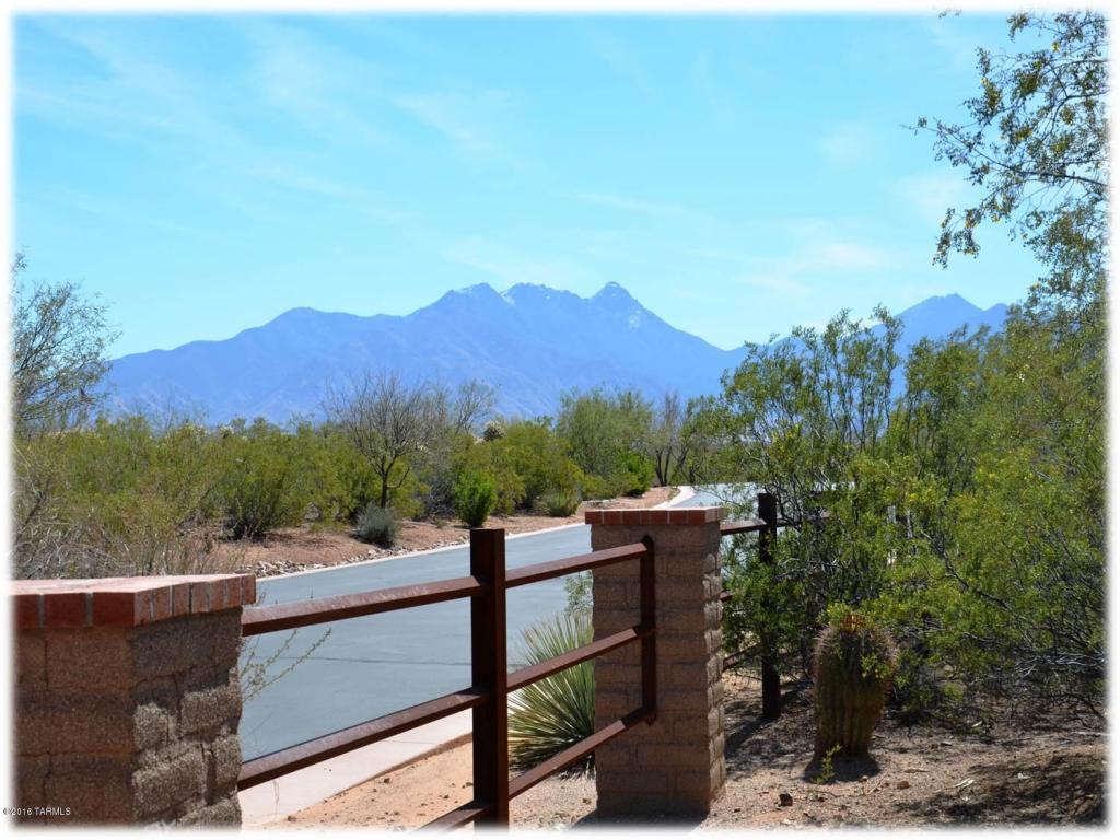 298 N Scenic Vista, Sahuarita, AZ 85629