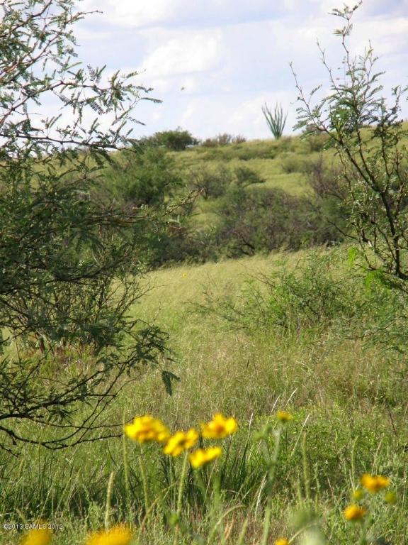 Lot 9 E Cochise Trail, Saint David, AZ 85630