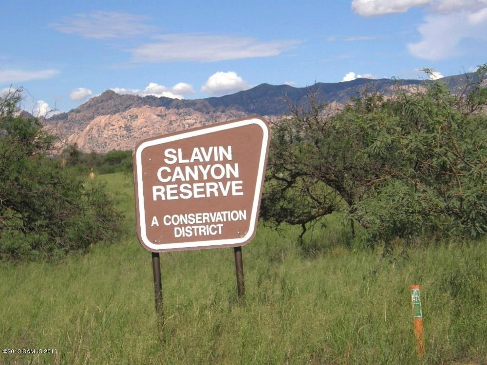 Lot 9 E Cochise Trail, Saint David, AZ 85630