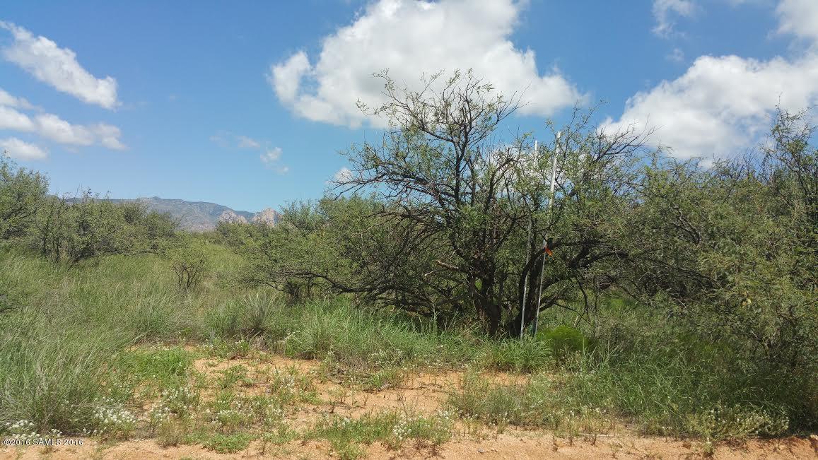 Lot 37-38 E De Vaca Circle, Saint David, AZ 85630