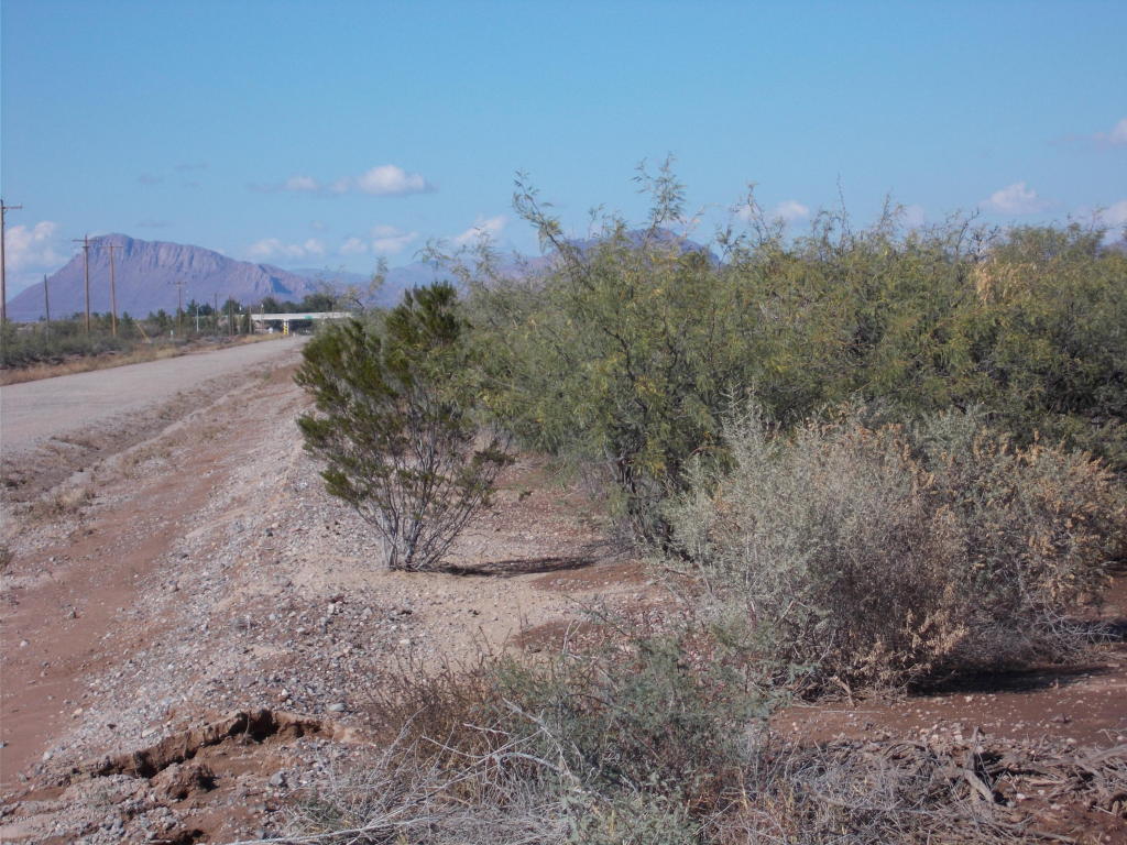 N WOOD CANYON, San Simon, AZ 85632