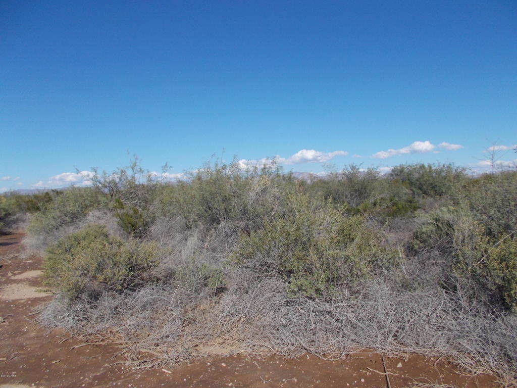 N WOOD CANYON, San Simon, AZ 85632