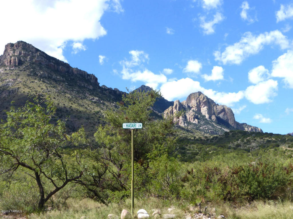 00 S Hatari, Portal, AZ 85632