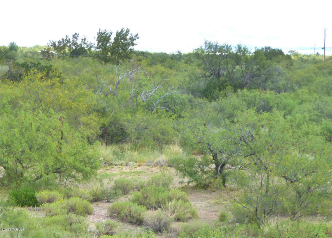 00 S Hatari, Portal, AZ 85632