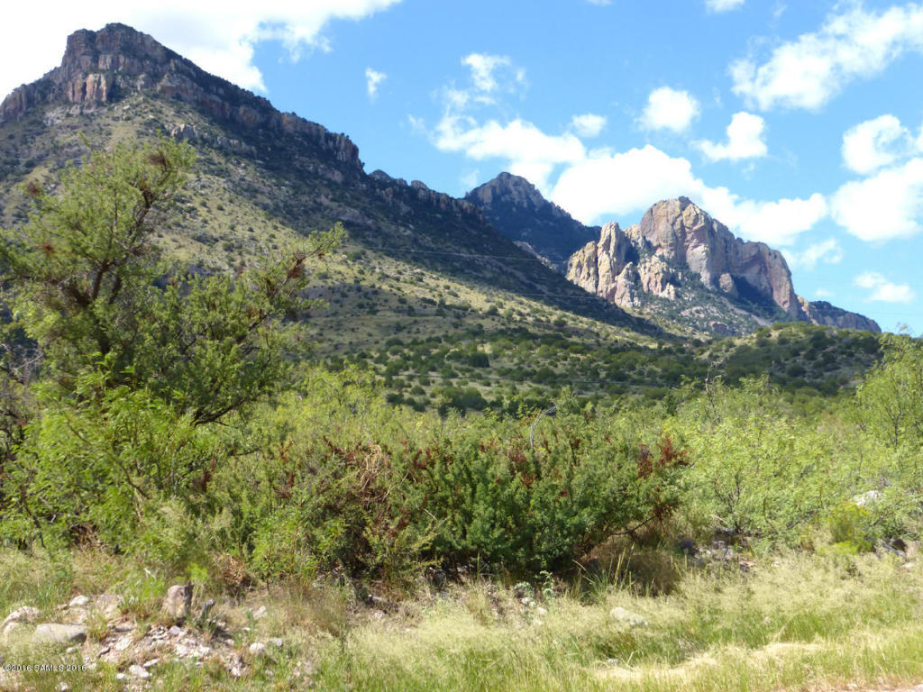 00 S Hatari Lane, Portal, AZ 85632